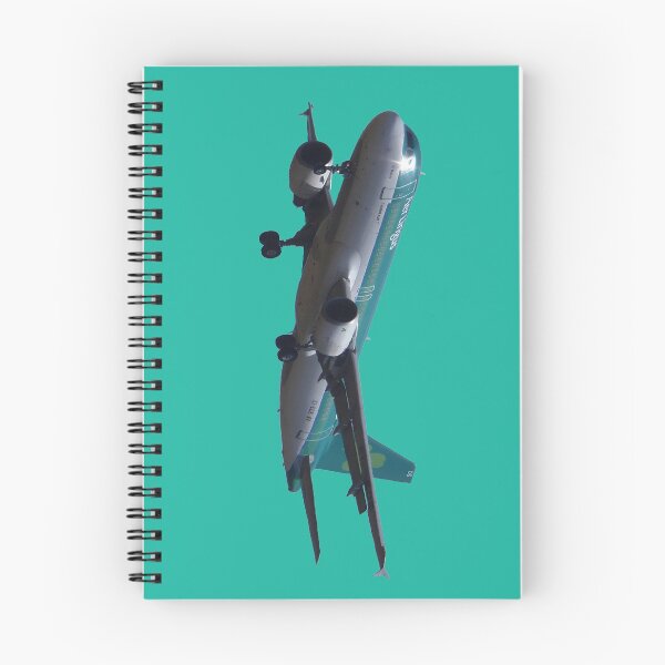 Item preview, Aer Lingus A320 designed and sold by DrTigrou.