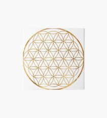 Lámina rígida Flor de la vida, geometría del círculo sagrado