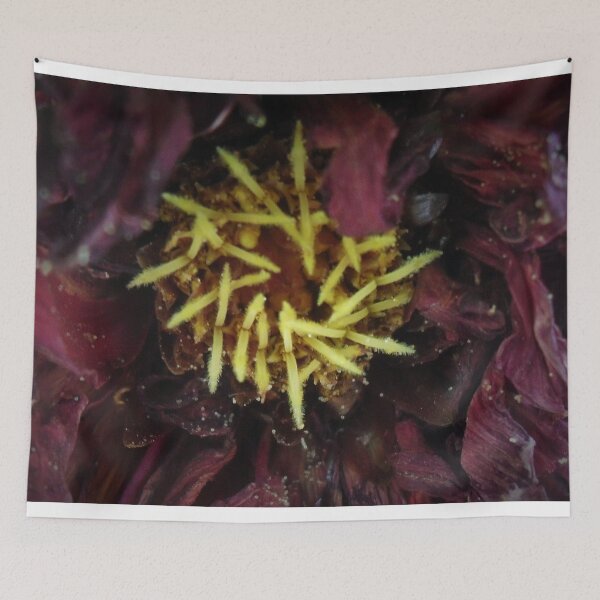 Item preview.