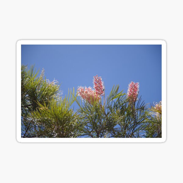 Item preview, Pinjarra Grevillea designed and sold by lezvee.