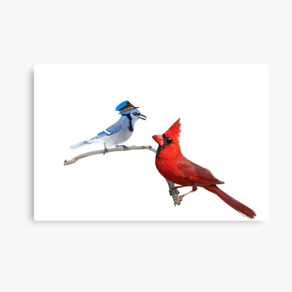 Water color cardinal and Blue jay birds fyp tattoo SmellLikeIrishSp   814 Views  TikTok