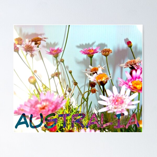 Item preview, #AUSTRALIA designed and sold by DMEIERS.
