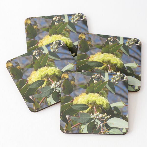 Item preview, Lemon flowered mallee designed and sold by greentiger1.