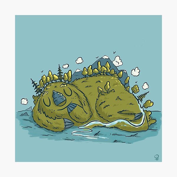 Sleeping island Photographic Print