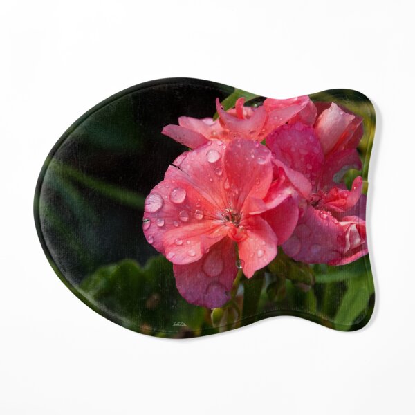 Pink flower with morning dew Cat Mat