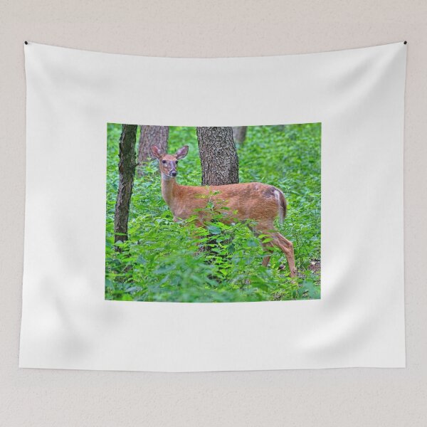Item preview, Miss White-tail  designed and sold by Lanis Rossi.