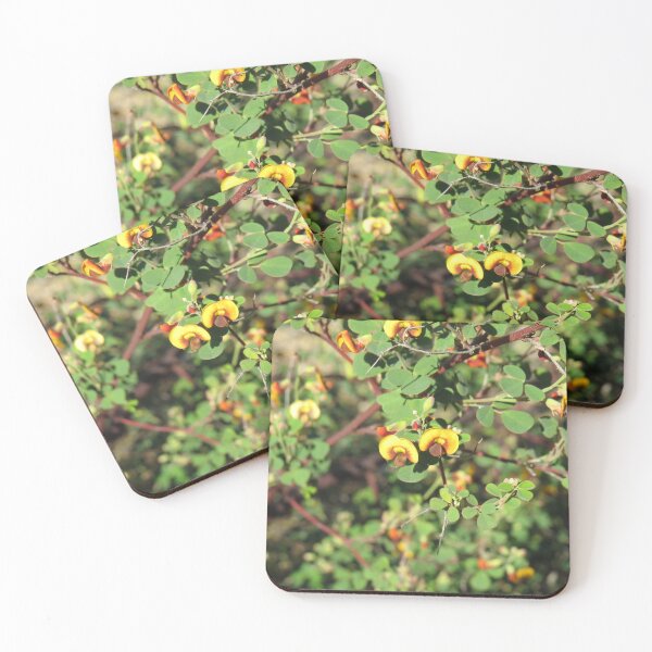 Item preview, Bushy legume designed and sold by greentiger1.