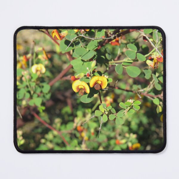 Item preview, Bushy legume designed and sold by greentiger1.