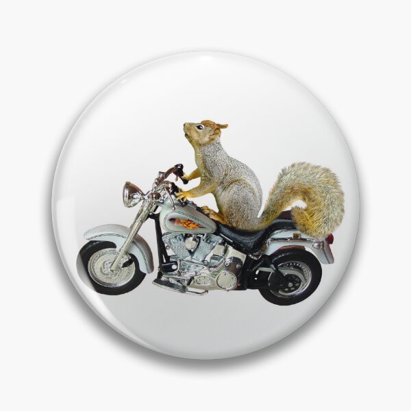 Aperçu de l'œuvre Écureuil à moto créée et vendue par catsclips.