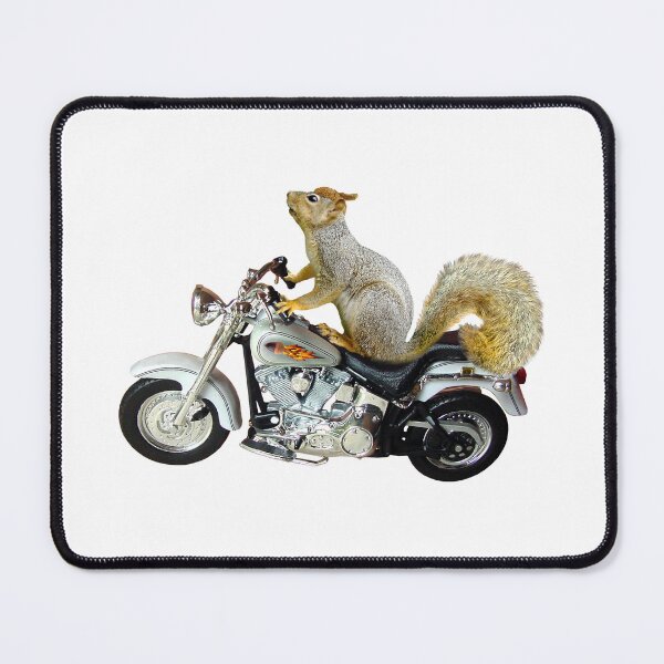 Artikelvorschau, Eichhörnchen auf dem Motorrad entworfen und verkauft von catsclips.