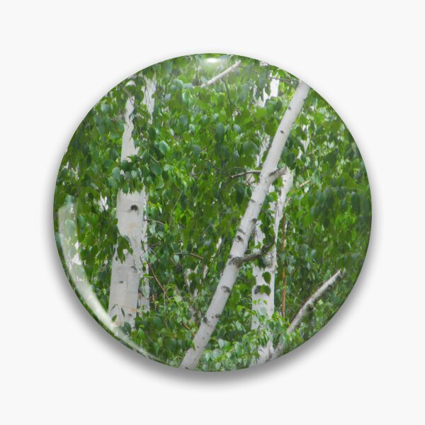Item preview, Birch Tree Photography Green White Woods Forest Summer designed and sold by Siela.