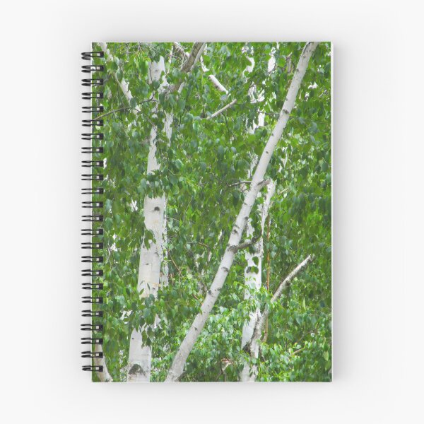 Item preview, Birch Tree Photography Green White Woods Forest Summer designed and sold by Siela.