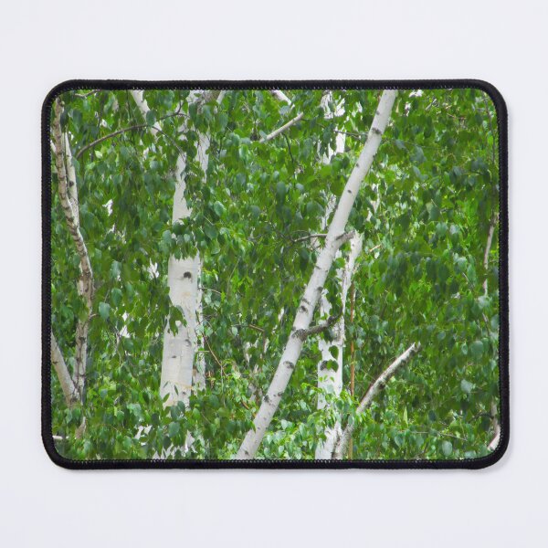 Item preview, Birch Tree Photography Green White Woods Forest Summer designed and sold by Siela.
