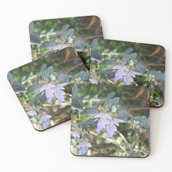 Item preview, Tree germander flowers designed and sold by greentiger1.