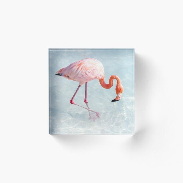Flamingo Island Gifts Merchandise Redbubble - roblox dance club trolling flamingo