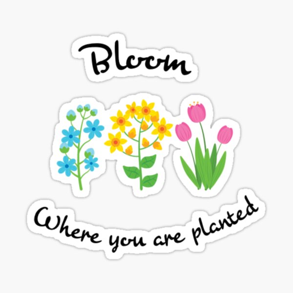 Bloom where you are planted Sticker for Sale by Design Dreamer