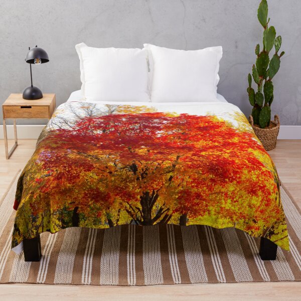 Item preview, Fotografía De Árbol De Arce Naranja Árboles Amarillos Bosques De Otoño Otoño designed and sold by Siela.