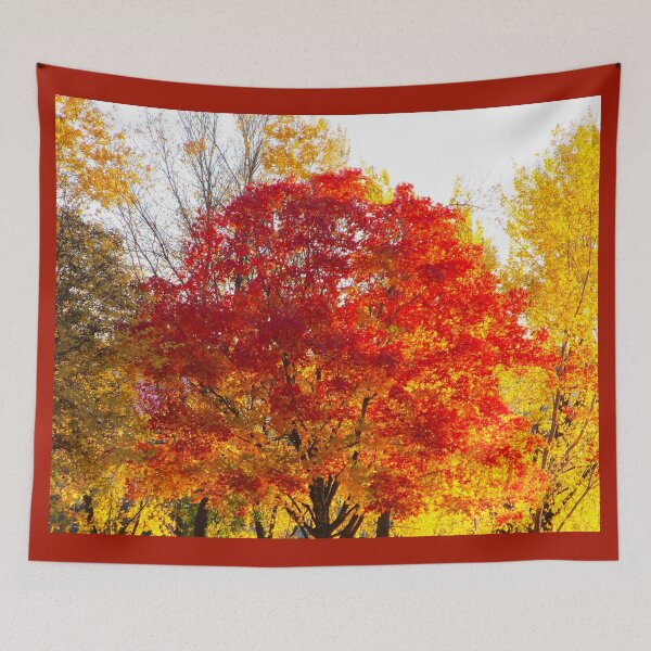 Item preview, Orange Maple Tree Photography Yellow Trees Autumn Woods Fall designed and sold by Siela.