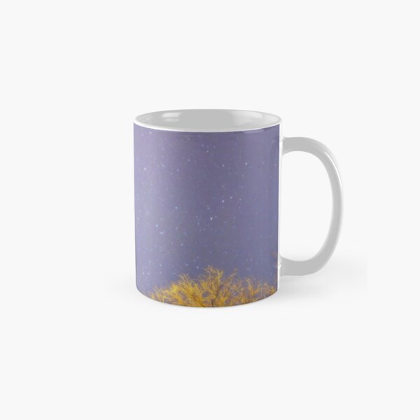 Reached Classic Mug