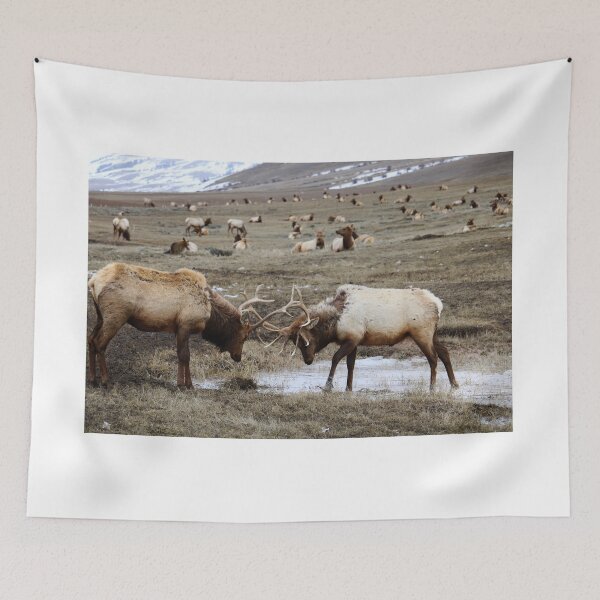 Item preview, Elk in Wyoming designed and sold by hwalker36.