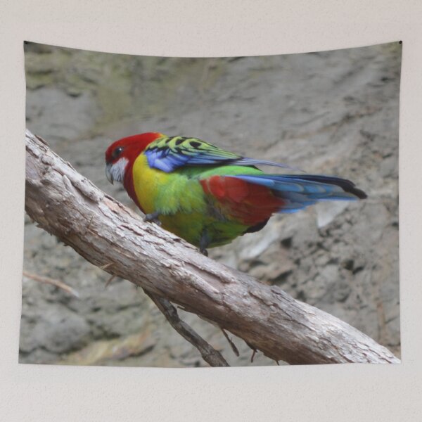 Item preview, Eastern Rosella designed and sold by lizdomett.
