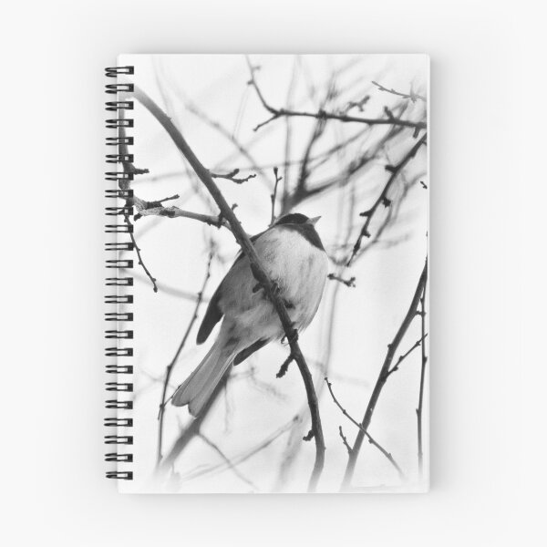 Item preview, Nesting designed and sold by 1backstreet.