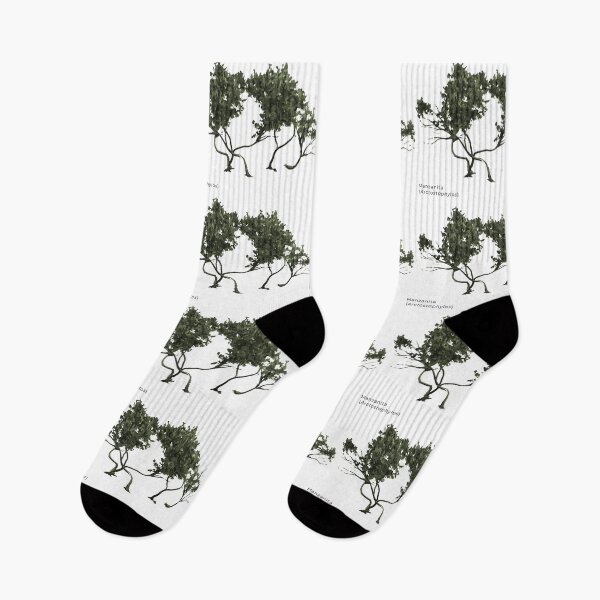 Item preview, Manzanita - Native Plant designed and sold by guerrillagarden.