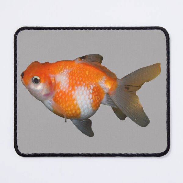 Item preview, Playful Goldfish designed and sold by RainbowSpinkle.