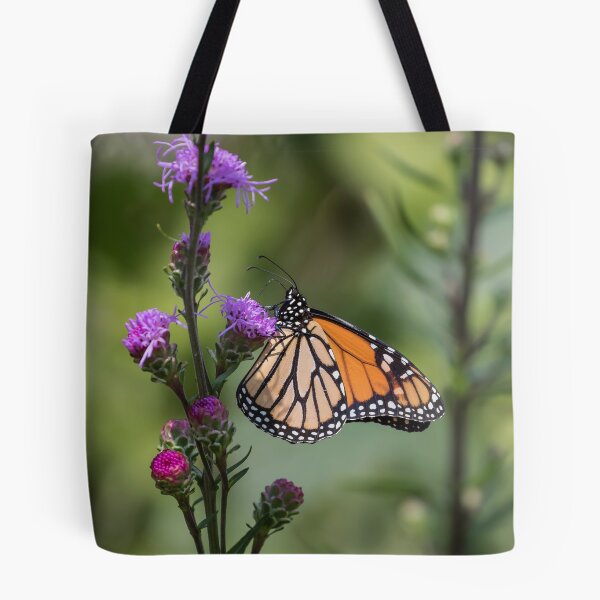 Item preview, Monarch 2017-8 designed and sold by Thomasyoung.