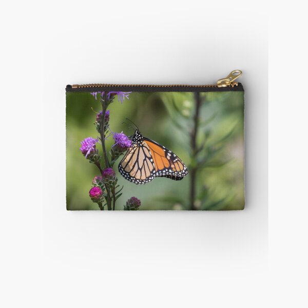 Item preview, Monarch 2017-8 designed and sold by Thomasyoung.