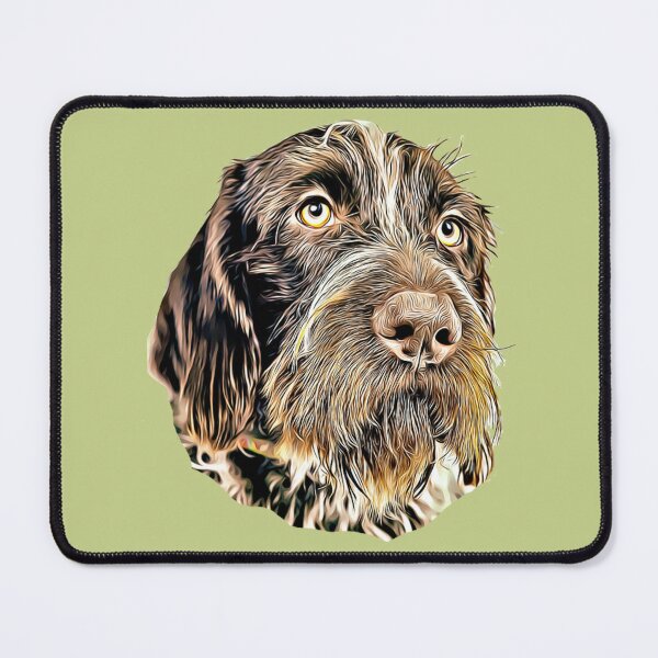 German wirehaired 2024 pointer gifts