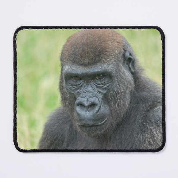 Item preview, Thinking Gorilla designed and sold by rawshutterbug.
