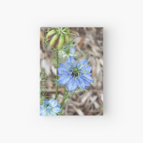 Blue beauties Hardcover Journal