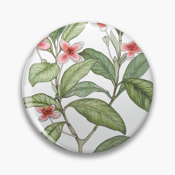 Item preview, Feijoa sellowiana  designed and sold by Danni Pleming.