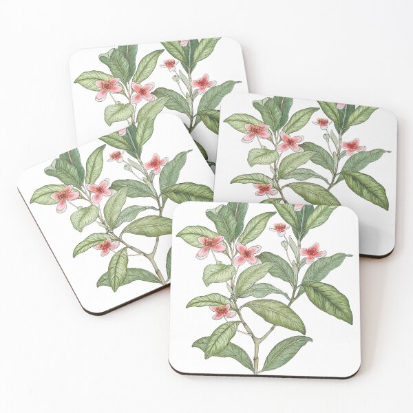 Item preview, Feijoa sellowiana  designed and sold by Danni Pleming.