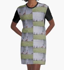 Ducks Graphic T-Shirt Dress