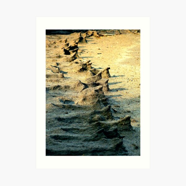 Sand People Art Print