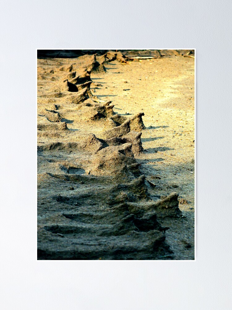 Thumbnail 1 of 3, Poster, Sand People designed and sold by alvinsan9.