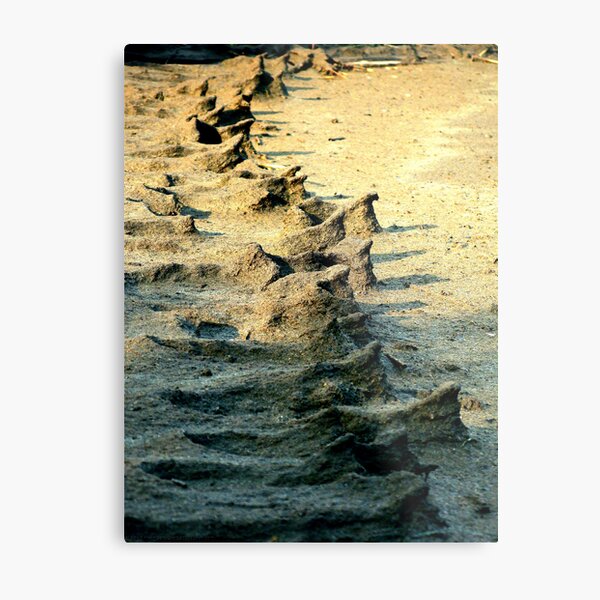 Sand People Metal Print