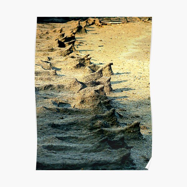 Sand People Poster