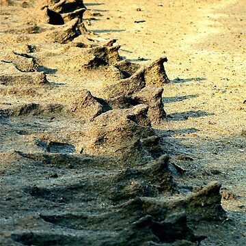 Artwork thumbnail, Sand People by Alvin C Whaley