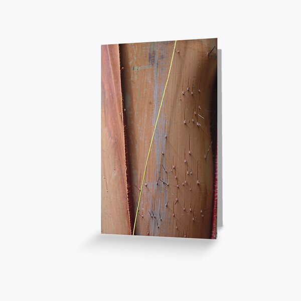 soft and spine Greeting Card