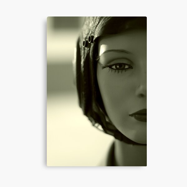 She Canvas Print