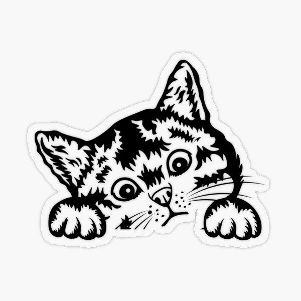 Black Cat Peeking Slightly Car Window Bumper Sticker Transparent Sticker