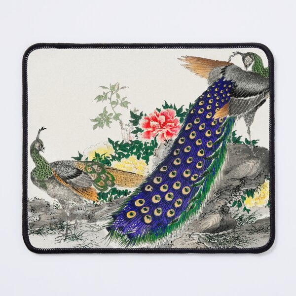 Item preview, Pictorial Monograph of Birds designed and sold by SofieElliane.