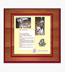 Kay Nine Point Five Photographic Print