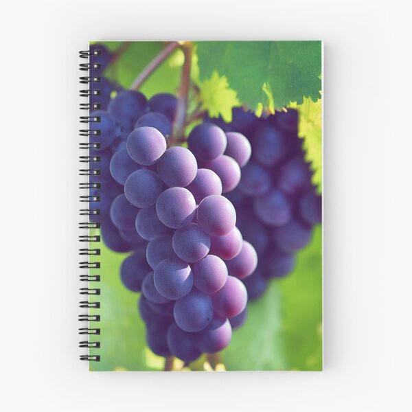 Item preview, Pinot Noir designed and sold by lapart.