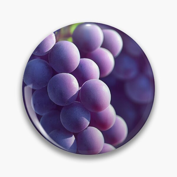 Item preview, Pinot Noir designed and sold by lapart.