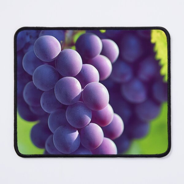 Item preview, Pinot Noir designed and sold by lapart.