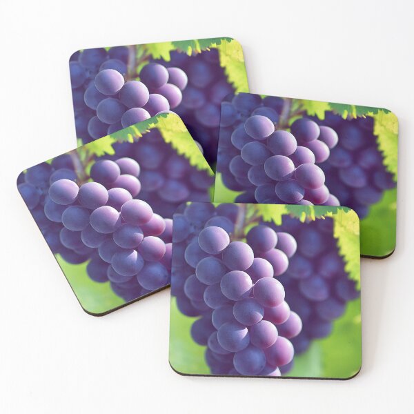 Item preview, Pinot Noir designed and sold by lapart.